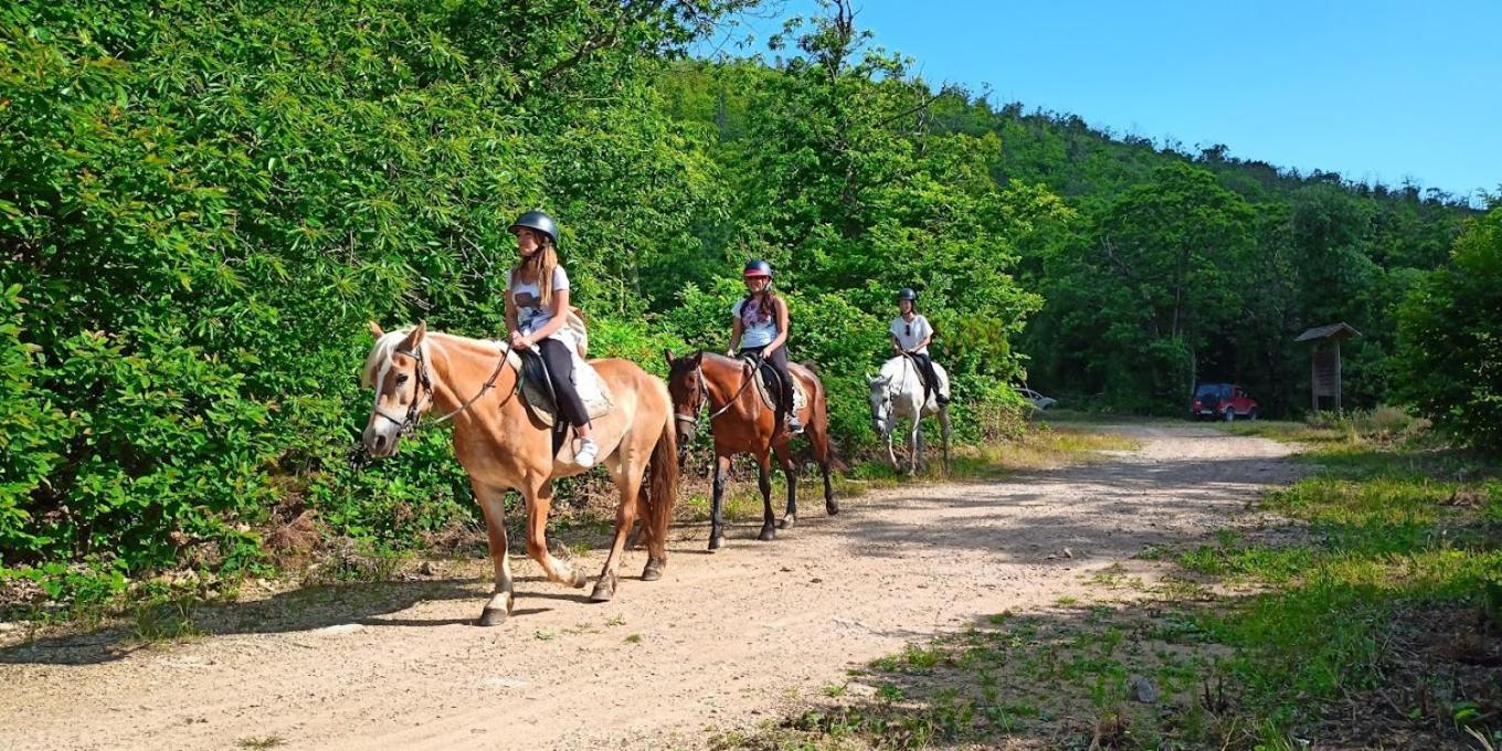 Poggio Al Tesoro Crespina Pisa Alojamento de Turismo Rural Crespina